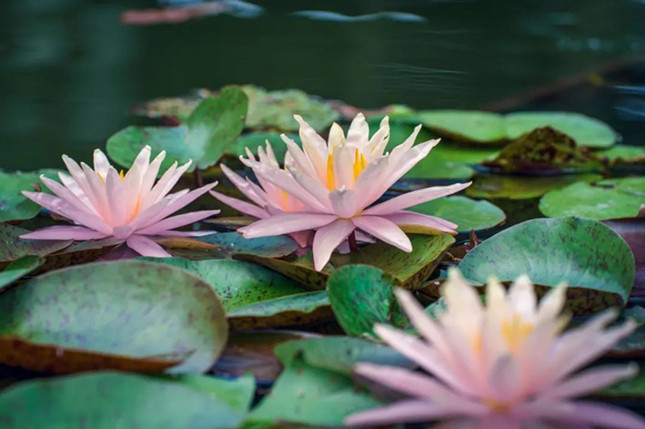 内 1120803_副本.jpg 内 1120803_副本.jpg