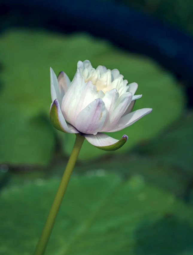 内731120852_副本.jpg 内731120852_副本.jpg