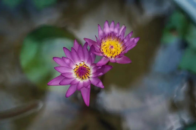 内 31121015_副本.jpg 内 31121015_副本.jpg