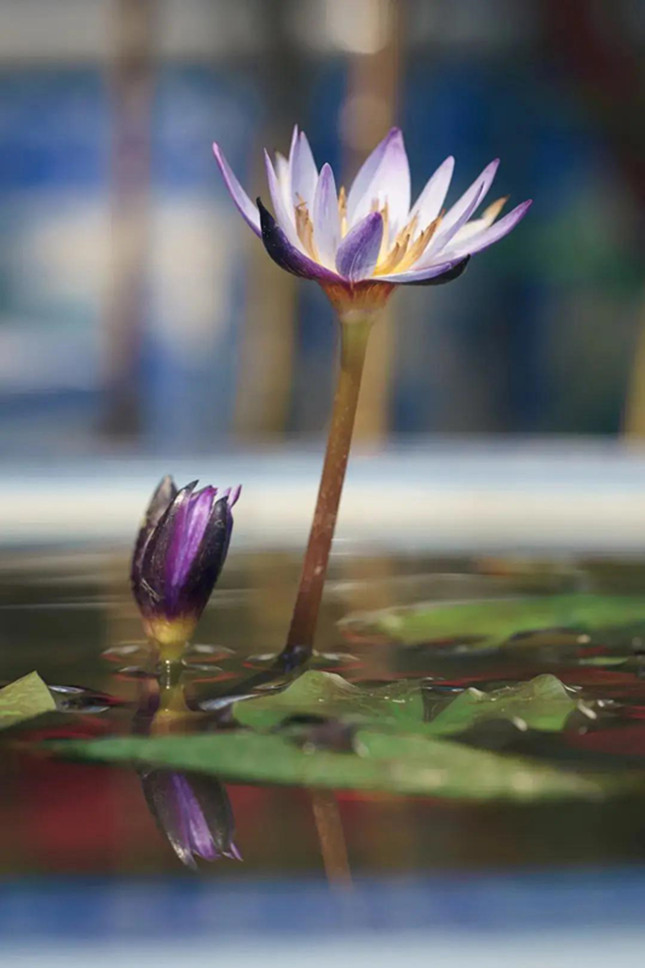 内 10731121024_副本.jpg 内 10731121024_副本.jpg