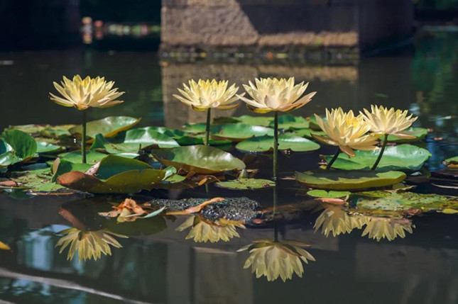 内 31121131_副本.jpg 内 31121131_副本.jpg