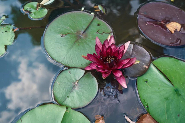 内 731121139_副本.jpg 内 731121139_副本.jpg