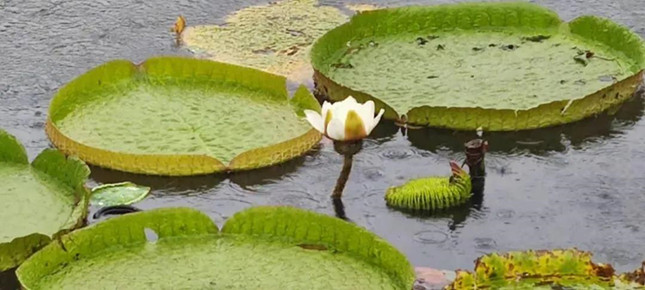 内 31121248_副本.jpg 内 31121248_副本.jpg