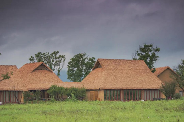 内 31121445_副本.jpg 内 31121445_副本.jpg