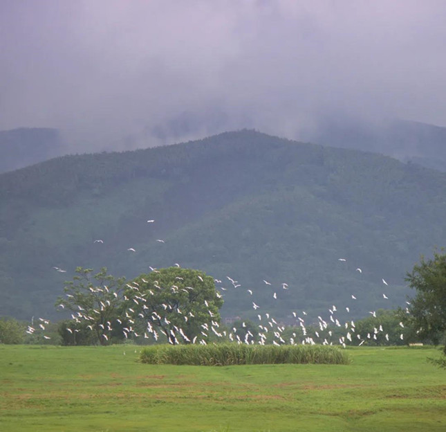 内31121535_副本.jpg 内31121535_副本.jpg