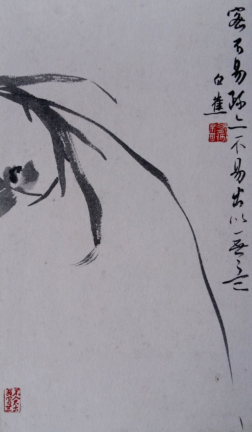 唐吉慧配图:白蕉绘兰(选自何民生编《白蕉书画遗珍—兰花册页》).jpg 唐吉慧配图:白蕉绘兰(选自何民生编《白蕉书画遗珍—兰花册页》).jpg