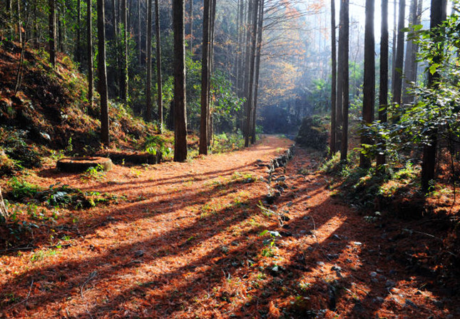 内 51502_副本.jpg 内 51502_副本.jpg