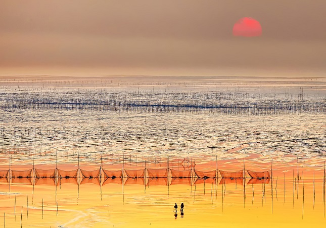 盐城被人们誉为金滩银荡、鱼米之乡。.jpg 盐城被人们誉为金滩银荡、鱼米之乡。.jpg