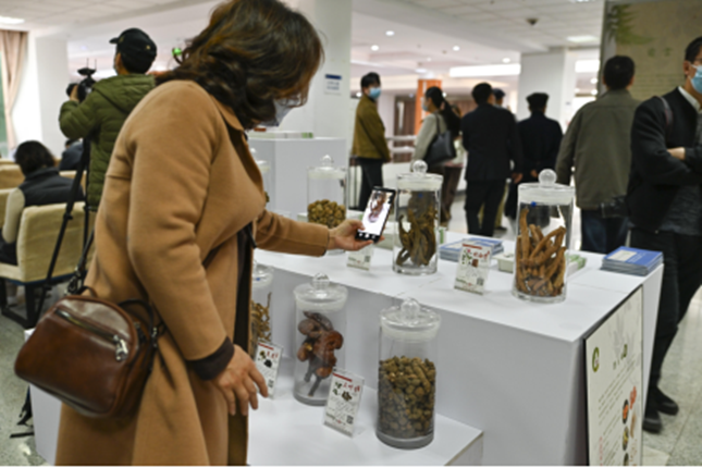 内 aac2a008c1e39_副本.png