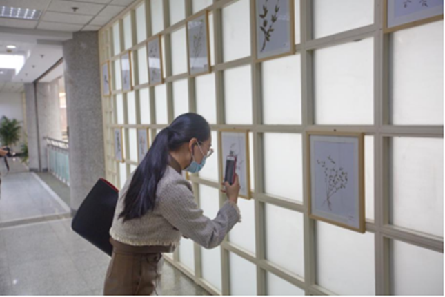 内 c65161a26971a2e_副本.png