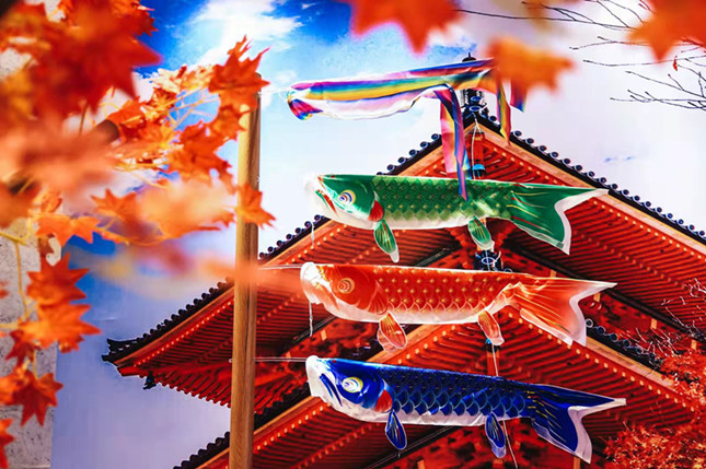 内 ce32a2139156a2c_副本.jpg