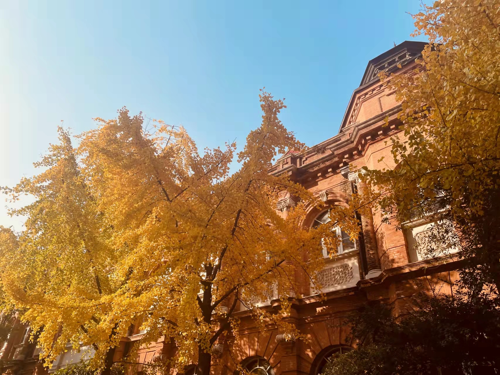 微信图片_20211211104846.jpg 微信图片_20211211104846.jpg