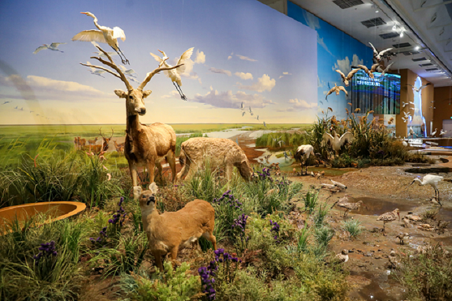 微信图片_20220111141643.png 微信图片_20220111141643.png