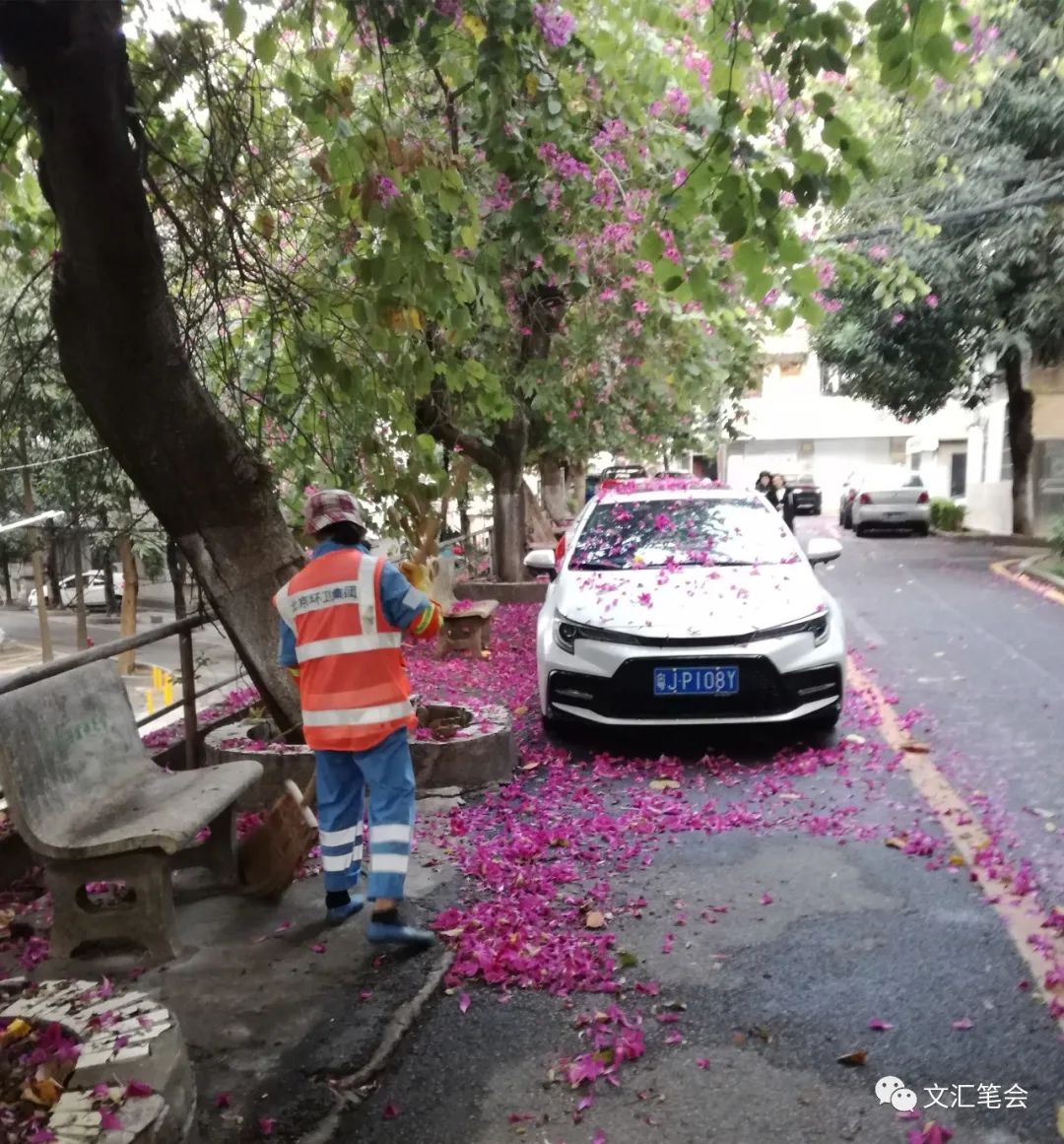 小河丁丁配图清洁工扫花.jpg