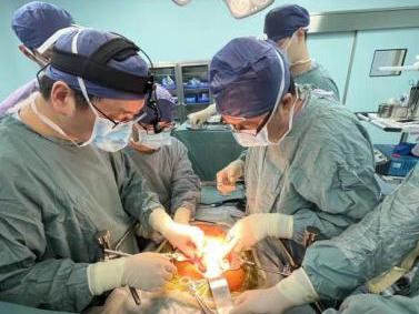 图片1.jpg 图片1.jpg