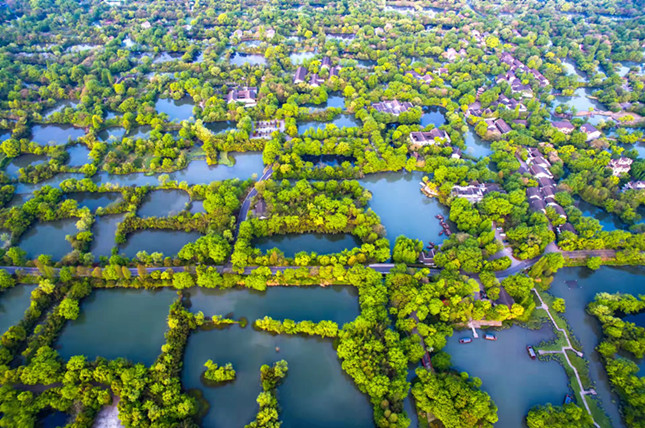 nei 00aba18c3c_副本.jpg