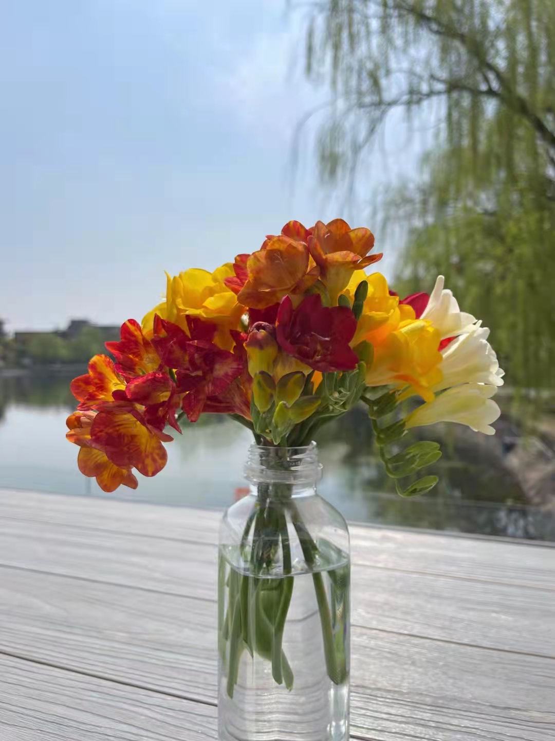 微信图片_20220325135835.jpg 微信图片_20220325135835.jpg