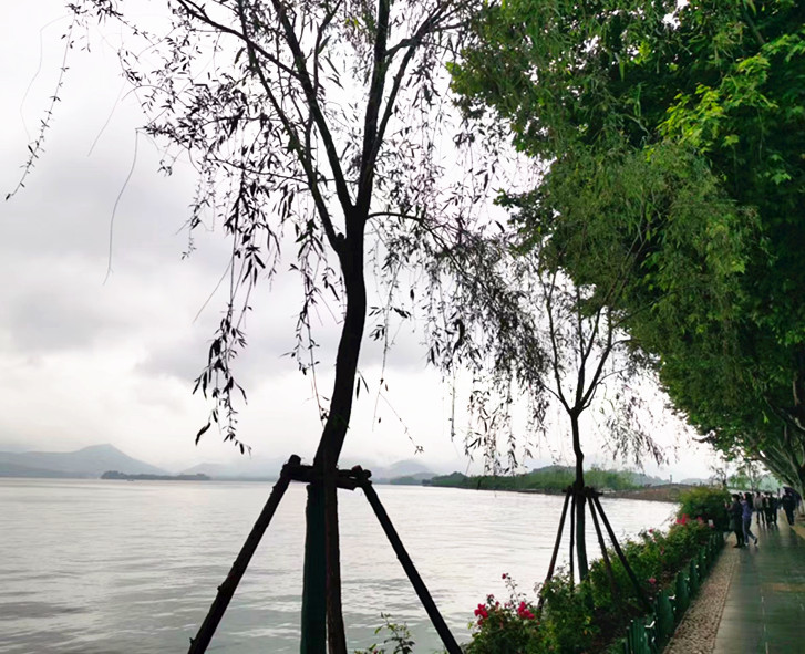 nei  4032394_副本.jpg