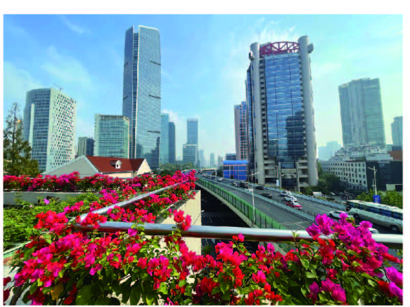 资源 6@800x-20.jpg