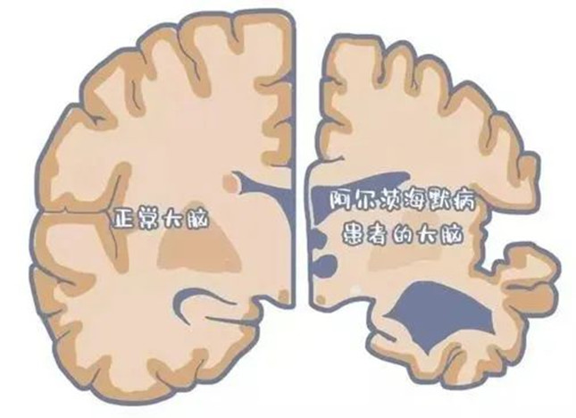 nei  141144_副本.jpg