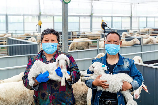 内 9148c6fd82ba1a624_副本.jpg 内 9148c6fd82ba1a624_副本.jpg