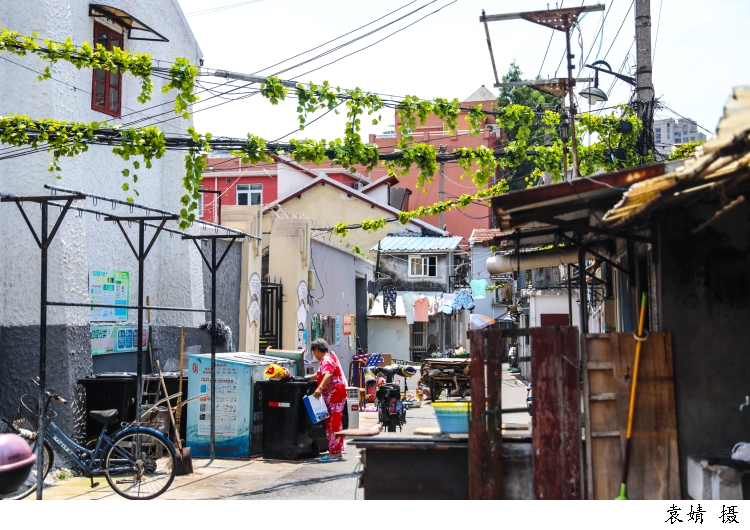 3350770_w750 (1).jpg