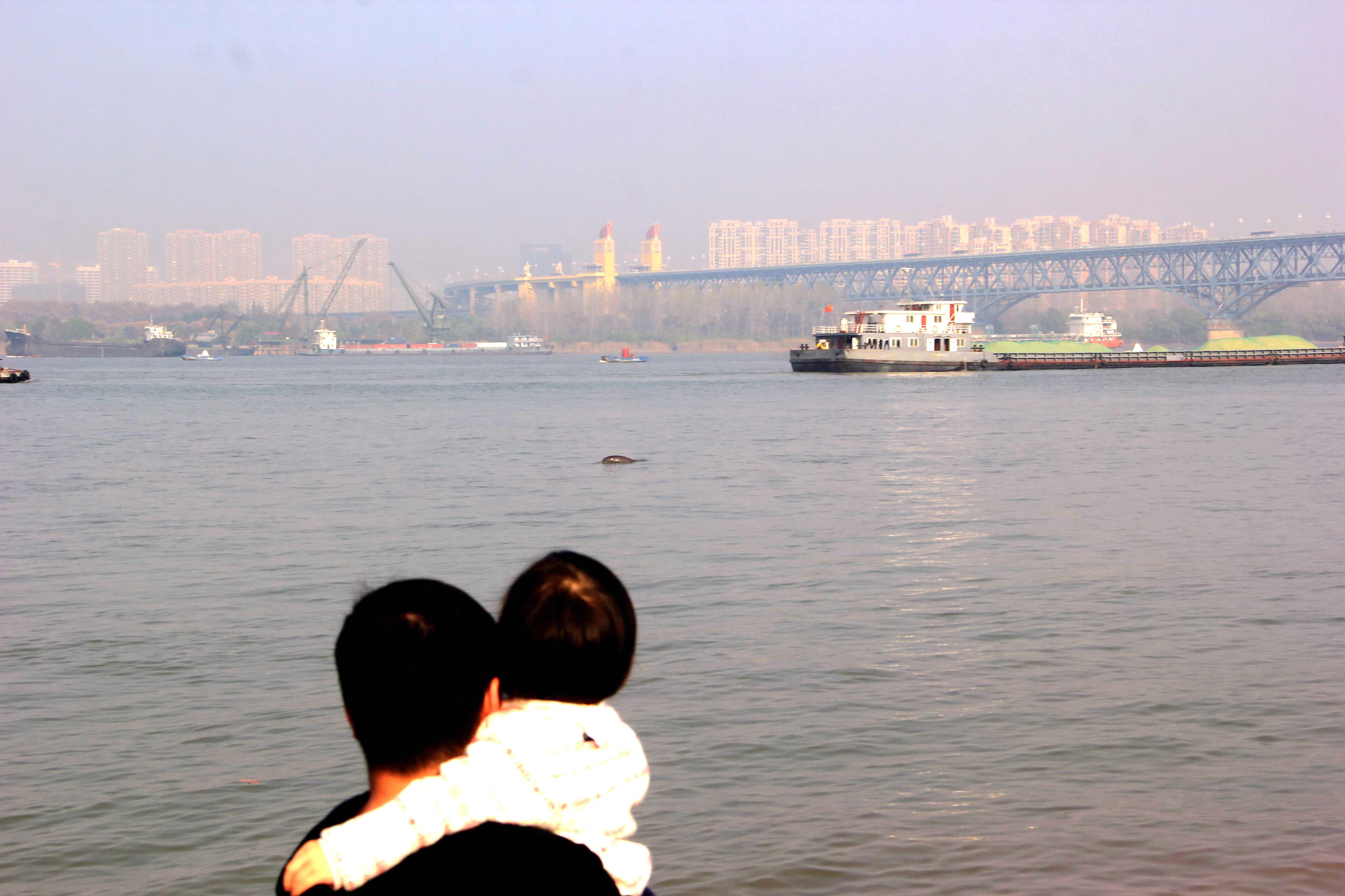 和谐家园武家敏13809042135注 此照渡江纪念馆收藏.jpg 和谐家园武家敏13809042135注 此照渡江纪念馆收藏.jpg