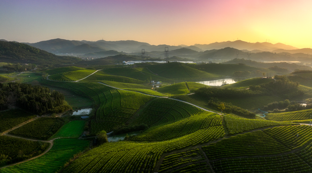 内 0143643_副本.png