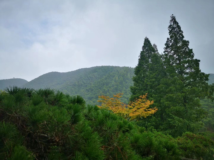 微信图片_20220905172902.jpg 微信图片_20220905172902.jpg