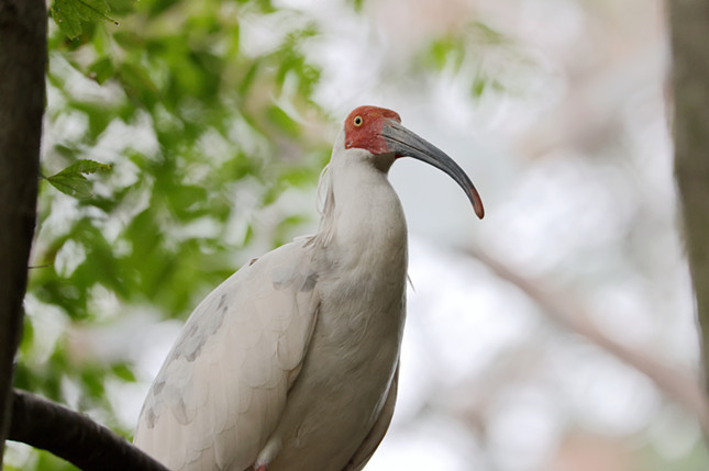 nei 434410e868a7a_副本.jpg nei 434410e868a7a_副本.jpg