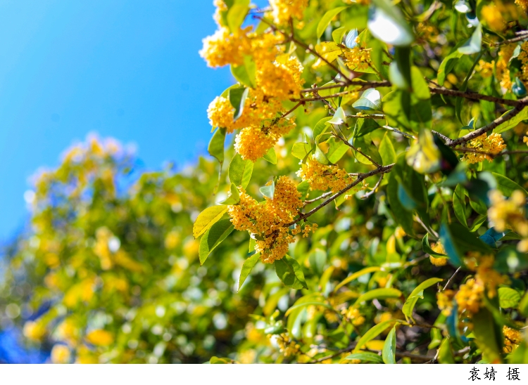 3374413_w750.jpg 3374413_w750.jpg