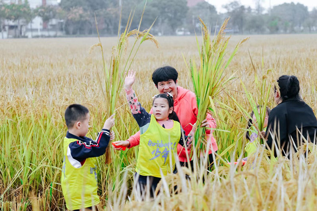 内 ecca1cb8f581e7db_副本.jpg 内 ecca1cb8f581e7db_副本.jpg