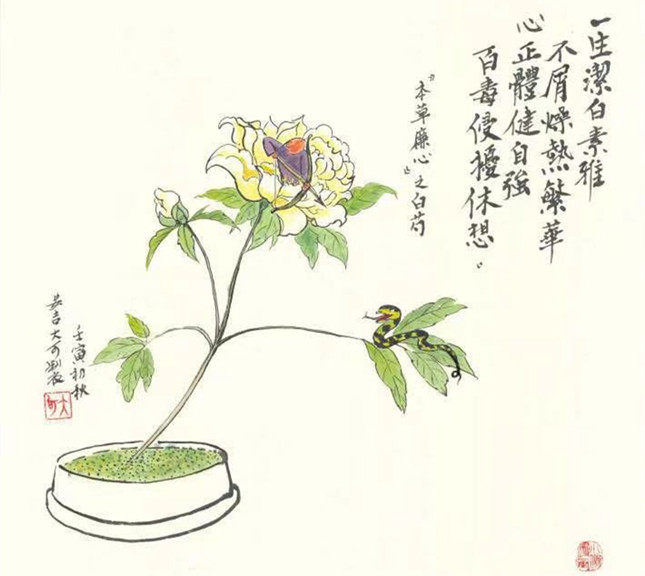 nei  d8b8107fd_副本.jpg