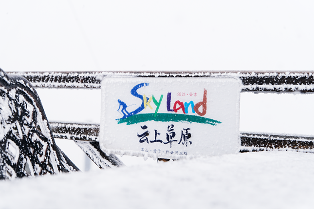 nei SCF0143_副本.png nei SCF0143_副本.png