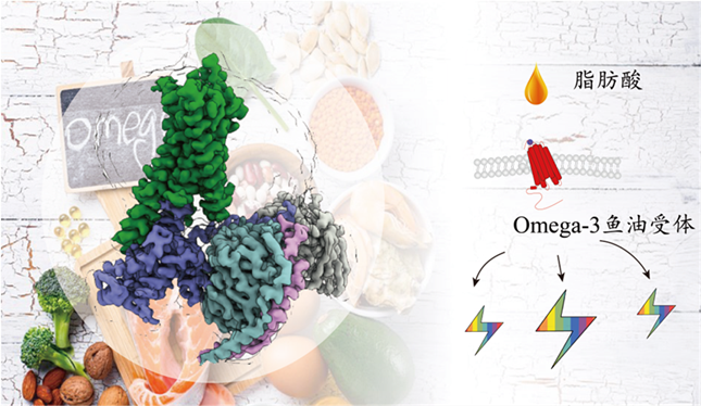 内 303111600_副本.png 内 303111600_副本.png