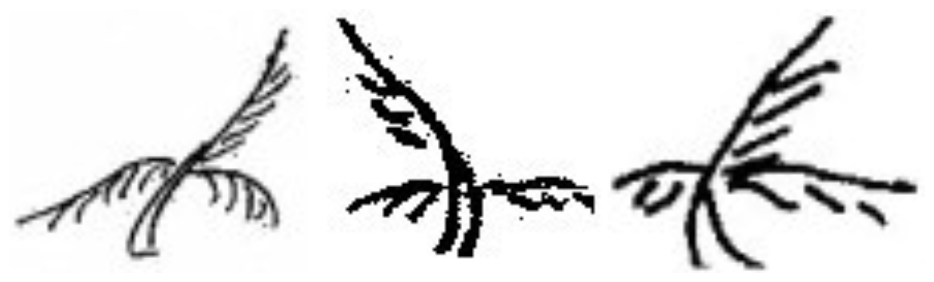 稿定设计导出-20230520-183234.jpg 稿定设计导出-20230520-183234.jpg