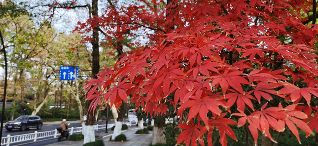 内 50ca33df73e134_副本.jpg 内 50ca33df73e134_副本.jpg