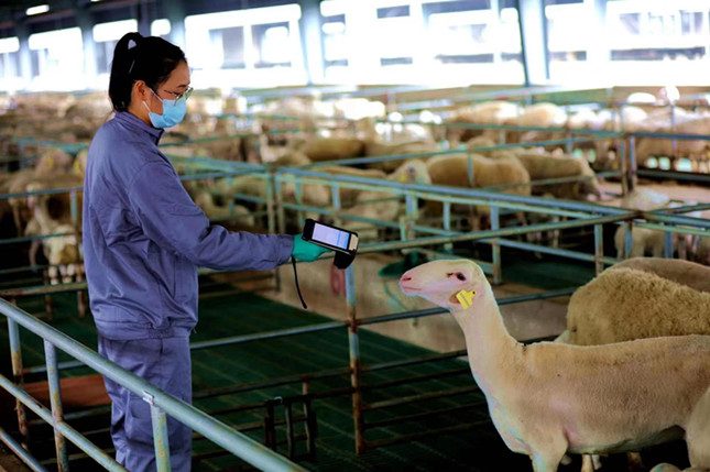 内 1205c7d387bcc4_副本.jpg