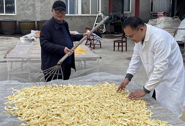 nie fdd3e91704_副本.jpg