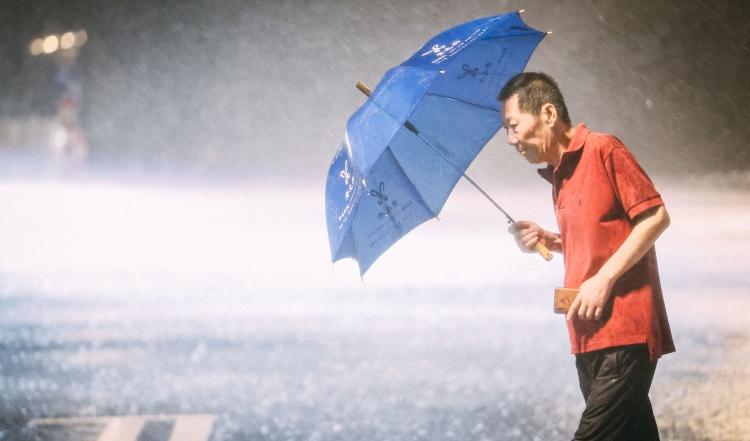 29074852ojys_cut.jpg 29074852ojys_cut.jpg