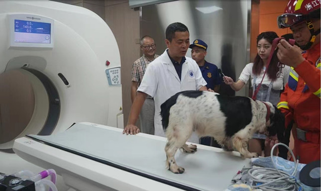 内 d2f206e5687971_副本.jpg 内 d2f206e5687971_副本.jpg