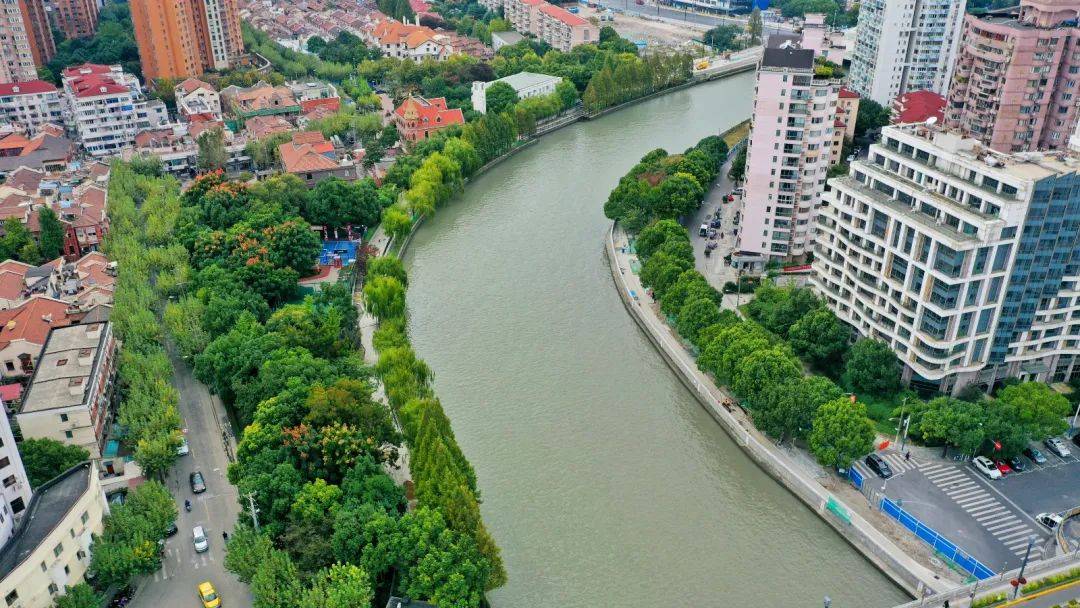 水清岸绿的苏河湾 微信公众号“上海住房城乡建设管理” 图.jpeg 水清岸绿的苏河湾 微信公众号“上海住房城乡建设管理” 图.jpeg