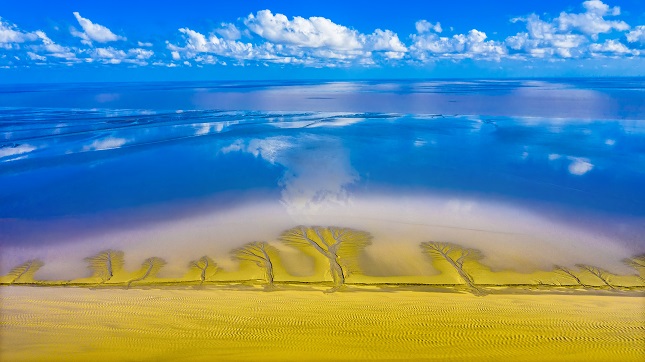 无题 上传者：孙华金.jpg