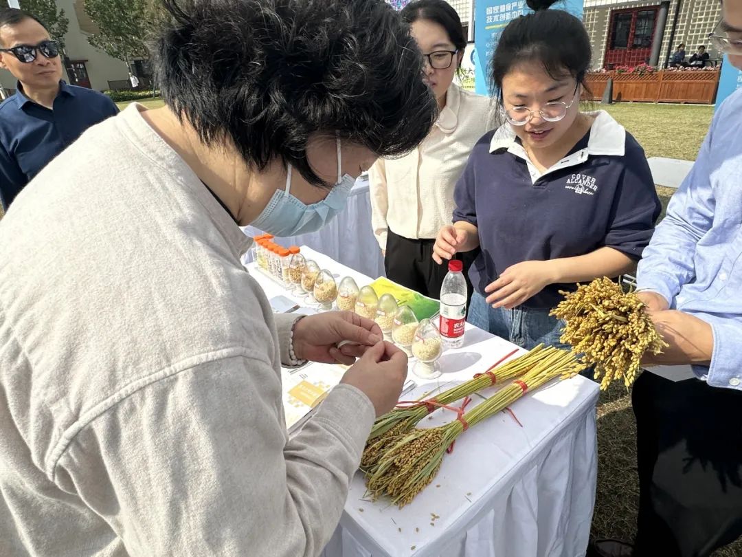 17180407plon.jpg 17180407plon.jpg